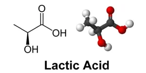 cms-fitness-courses-lactic-acid